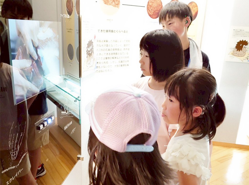 地底の森ミュージアム