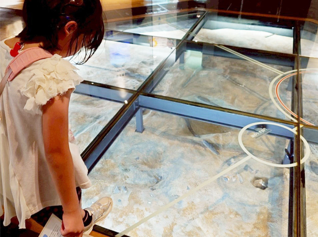 地底の森ミュージアム